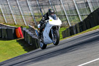 Oulton-Park-20th-March-2020;PJ-Motorsport-Photography-2020;anglesey;brands-hatch;cadwell-park;croft;donington-park;enduro-digital-images;event-digital-images;eventdigitalimages;mallory;no-limits;oulton-park;peter-wileman-photography;racing-digital-images;silverstone;snetterton;trackday-digital-images;trackday-photos;vmcc-banbury-run;welsh-2-day-enduro